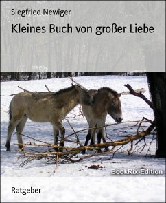 Kleines Buch von großer Liebe (eBook, ePUB) - Newiger, Siegfried