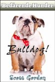 Bedårende Hunder: Bulldog (eBook, ePUB)