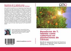 Beneficios de T. labialis como cobertura en plantaciones de citricos