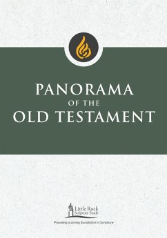 Panorama of the Old Testament (eBook, ePUB) - Binz, Stephen J.