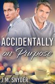 Accidentally On Purpose (eBook, ePUB)