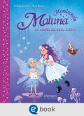 Du schaffst das, kleine Luftfee! / Maluna Mondschein Bd.13 (eBook, ePUB)