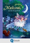 Maluna Mondschein und das Feengeschenk / Maluna Mondschein Bd.4 (eBook, ePUB)