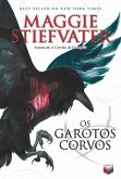 Os garotos corvos - A saga dos corvos - vol. 1 (eBook, ePUB) Os garotos corvos - A saga dos corvos - vol. 1 (eBook, ePUB)
