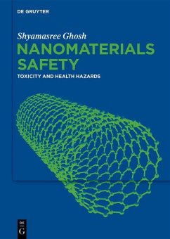 Cover Nanomaterials Safety (eBook, ePUB)
