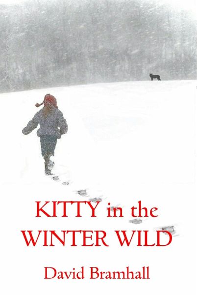 Kitty in the Winter Wild (eBook, ePUB)