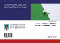 Zeolitic Materials From Rice Husks And Water Hyacinth - Gerald Wachira, Mbugua