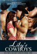 Lily's Cowboys (Second Chance, #1)... - Bild 1