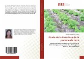 Étude de la Fusariose de la pomme de terre