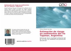 Estimación de riesgo en sedimentos del río Tajamar, Argentina