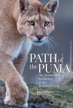 Cover Path of the Puma (eBook, ePUB)