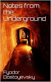 Notes from the Underground (eBook, ePUB)