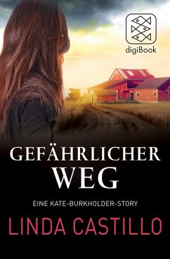 Gefährlicher Weg (eBook, ePUB) - Castillo, Linda