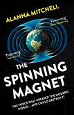 The Spinning Magnet