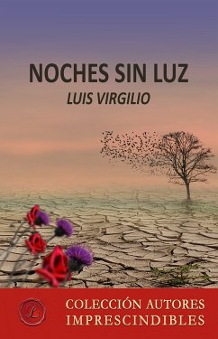 Noches sin luz (eBook, ePUB) - Virgilio, Luis