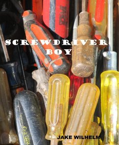 Cover Screwdriver Boy (eBook, ePUB)
