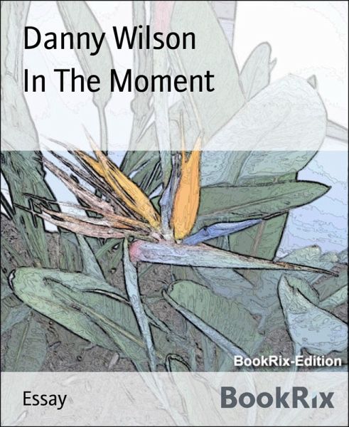 In The Moment (eBook, ePUB)