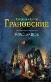 Заблудшая душа (eBook, ePUB)