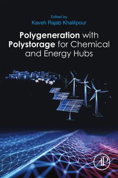 Polygeneration with Polystorage (eBook, ePUB)