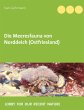 Die Meeresfauna von Norddeich... - Bild 1