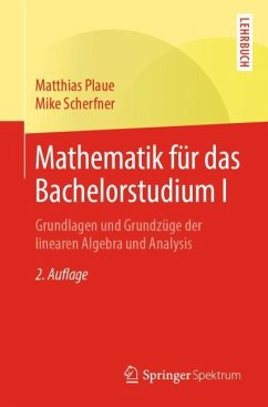 Mathematik für das Bachelorstudium I - Plaue, Matthias;Scherfner, Mike