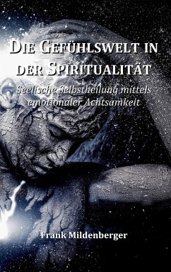 Die Gefühlswelt in der Spiritualität (eBook, ePUB)