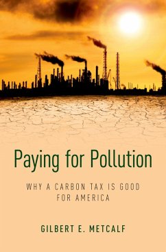 Paying for Pollution (eBook, ePUB) - Metcalf, Gilbert E.