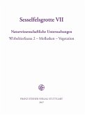Sesselfelsgrotte VII (eBook, PDF)