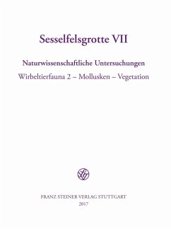 Sesselfelsgrotte VII (eBook, PDF)