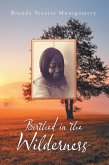 Birthed in the Wilderness (eBook, ePUB) Birthed in the Wilderness (eBook, ePUB)