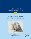 Imagining the Brain: Episodes in the History of Brain Research (eBook, ePUB)