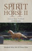 Spirit Horse Ii (eBook, ePUB)