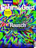 Gehirn&Geist 1/2019 Rausch (eBook, PDF)