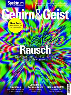 Gehirn&Geist 1/2019 Rausch (eBook, PDF)