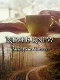 Never Knew (eBook, ePUB)