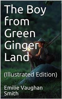 Cover The Boy from Green Ginger Land (eBook, PDF)
