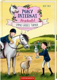 Emmas großes Turnier / Pony-Internat Kirschental Bd.2