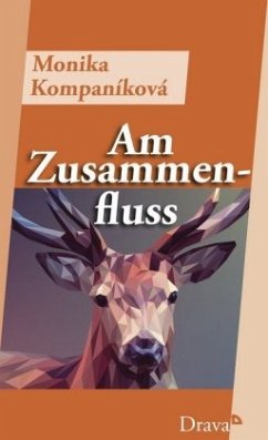 Am Zusammenfluss - Kompaníková, Monika