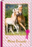Freundebuch - Pferdefreunde - Stute mit Fohlen