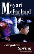 Forgotten Spring (eBook, ePUB) - Bild 1