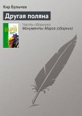 Drugaya polyana (eBook, ePUB)