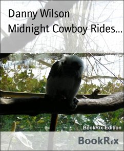 Cover Midnight Cowboy Rides... (eBook, ePUB)