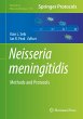 Neisseria meningitidis - Bild 1