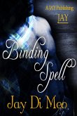 Binding Spell (eBook, ePUB)