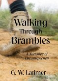 Walking Through Brambles: A Narrative of Circumspection (eBook, ePUB)