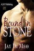 Bound in stone (eBook, ePUB)