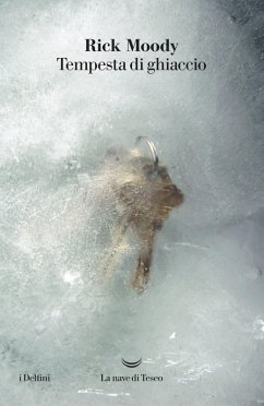 Cover Tempesta di ghiaccio