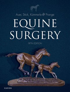 Equine Surgery (eBook, ePUB) - Auer, Jorg A.; Stick, John A.