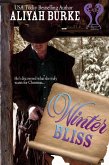 Winter Bliss (Born to Fly, #4) (eBook, ePUB)