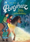 Hilfe, Pferdediebe! / Ponyherz Bd.11 (eBook, ePUB)